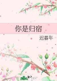 你是归宿迟暮年免费阅读