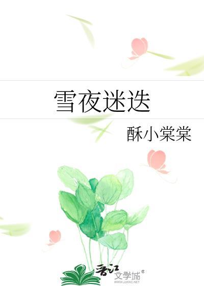 雪夜迷迭作者酥小棠棠