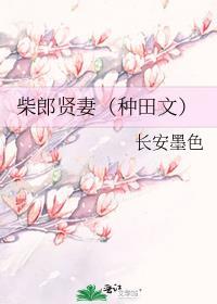 柴郎悍妻