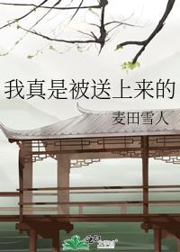 虞澜意郑山辞全文阅读正版