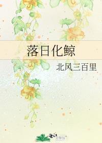 落日与鲸