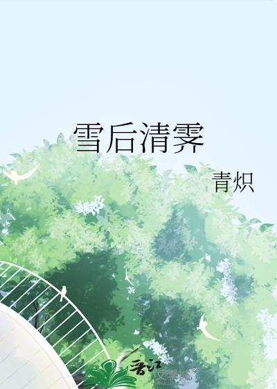 雪后清霁免费阅读全文