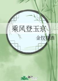 乘风登玉京什么意思