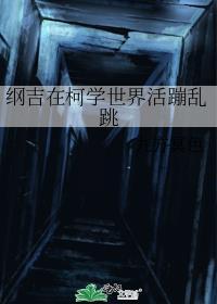 纲吉在名柯