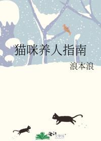 猫咪养人指南番外