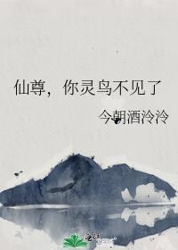 你灵鸟不见了
