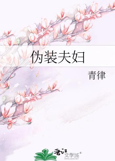 伪装夫妇日剧在线