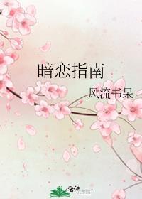 暗恋指南by