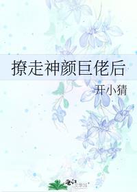 撩走神颜巨佬后百度盘