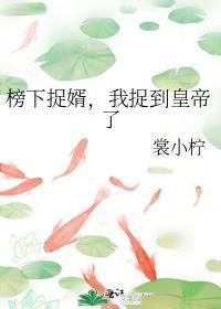 榜下捉婿后我成了太子妃作者锦瑟思弦