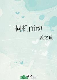伺机而动重山外