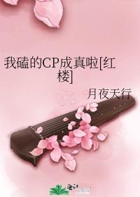 我磕的cp成真啦红楼