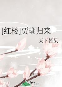 红楼贾湖归来