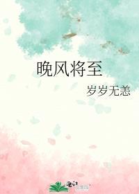 晚风将至歌词