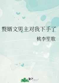 赘婿文男主对我下手了by