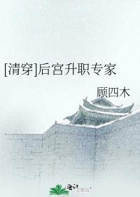 清穿之后院晋升守则免费阅读无广告