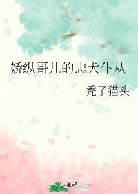 娇纵哥儿的忠犬仆从秃了猫头免费阅读