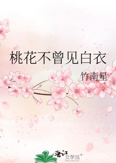 不曾见过桃花歌词