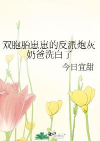 反派双胞胎的白月光