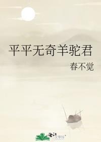 平平无奇羊驼君免费阅读