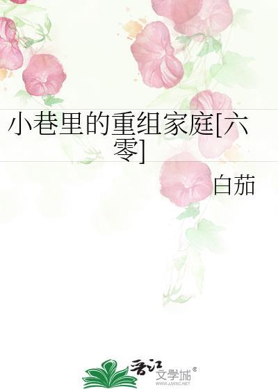 相公他其貌不扬讲的什么