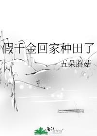 假千金回家种田了讲的什么