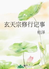 玄天宗修行记事笔趣阁在线阅读
