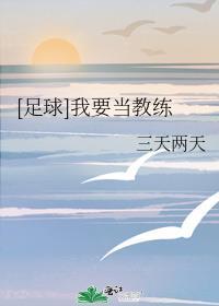 我想成为足球教练英语作文