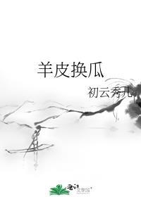 羊皮换相是什么意思