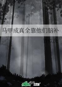 马甲成就组织