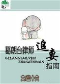 葛朗台律师追妻完整版