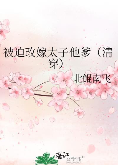 被迫改嫁太子他爹清穿番外