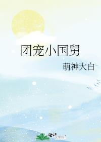 团宠小国舅完整版