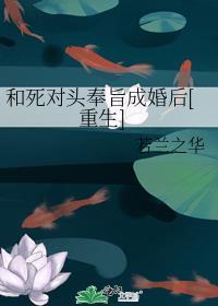 足球米兰传奇nina