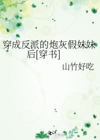 穿成反派炮灰的