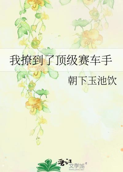 中国最顶级的赛车手