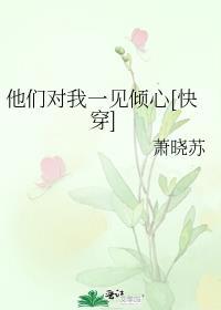 他们对我一见倾心快穿免费阅读