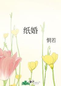 纸婚剧情简介