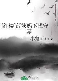 红楼梦里薛姨妈是谁的亲戚