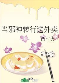 引导者的含义