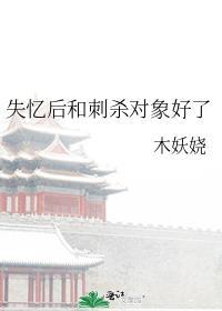 失忆后和刺杀对象好了晋江