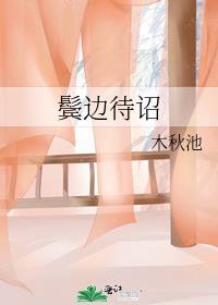 鬓边的诗句