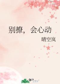 会心动 晴空岚晋江