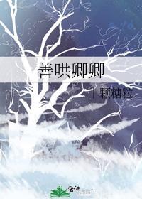 善哄卿卿十颗糖粒TXT