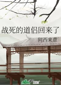 战死的道侣回来了免费阅读全文