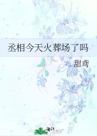 丞相今天上朝了吗免费阅读