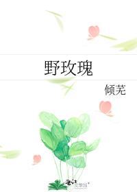 野玫瑰花泡水喝的功效