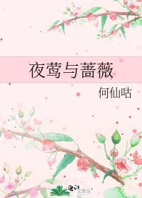夜莺与蔷薇评价