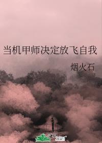 当机甲师决定放飞自我男主是谁