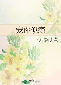 宠你似瘾双洁吗